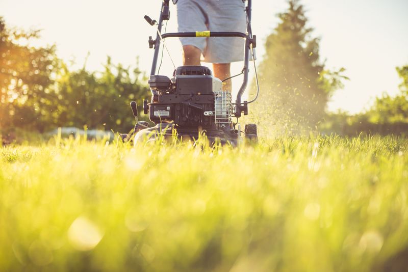 Gardening services in Slough
